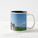Search for cows in field mugs Agriculture