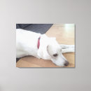 Search for collar canvas prints Cute