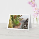 Search for grasshopper cards Green