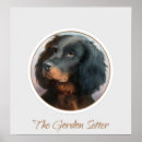 Search for setter posters Gordon