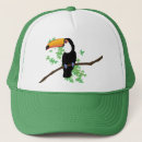 Search for toucan hats Animal