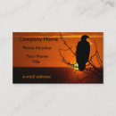 Search for eagle business cards Bird of prey