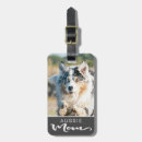 Search for shepherd travel accessories Pet