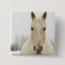 Search for horse head badges Nature