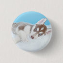 Search for huskies badges Dog