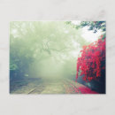 Search for tracking postcards Photography