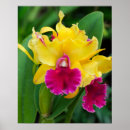 Search for hot pink posters Feminine