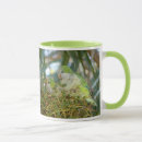 Search for quaker parrot mugs Parrots