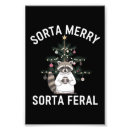 Search for racoon art posters Santa