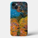 Search for coral reef ipad cases Jaynes gallery