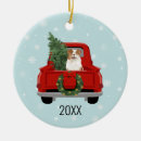 Search for australian shepherd christmas tree decorations Dog