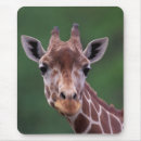 Search for impala mouse mats Wildlife