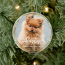 Search for circle christmas tree decorations Cute