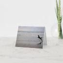 Search for catch the wave cards Summer