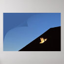 Search for open sky posters Light