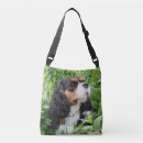 Search for tri bags Puppy