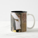 Search for towels mugs Humour