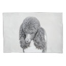 Search for standard pillowcases Black