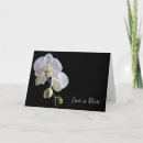 Search for black orchid cards Elegant