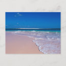 Search for beach cat postcards Sand