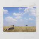 Search for rear view postcards Three quarter length