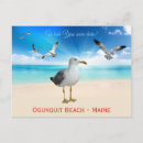 Search for gull postcards Shore