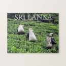 Search for sri lanka puzzles Photography