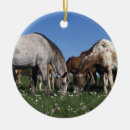 Search for appaloosa horse christmas tree decorations Bob langrish