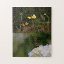 Search for nature photography puzzles Butterfly