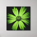 Search for cosmos canvas prints Abstract