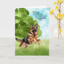 Search for german congratulations cards Shepherds