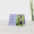 Search for australian cattle dogs cards Photography