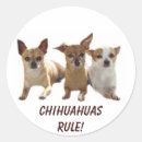 Search for chihuahuas stickers Pup