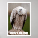 Search for vulture posters Humour