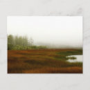 Search for lagoon postcards Nature