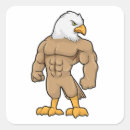 Search for bodybuilders stickers Weightlifting