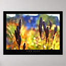 Search for pod posters Flower