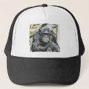 Search for chimpanzees hats Cute