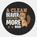 Search for funny beaver stickers Humour