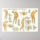 Search for references posters Colour