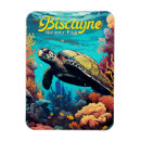 Search for turtled magnets Sea turtle