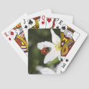Search for ladybug playing cards Summer