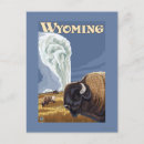 Search for buffalo postcards Old