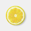 Search for lemon magnets Slice