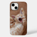 Search for cute baby kitten iphone cases Young animal