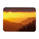 Search for smokey mountain magnets Tree