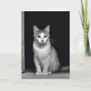 Search for loss of pet sympathy cards Kitty