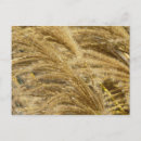 Search for tan horizontal postcards Light brown