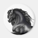 Search for filly magnets Stallion