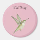 Search for ruby throated magnets Wildlife